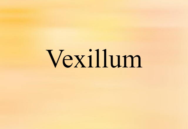 Vexillum (noun) Definition, Meaning & Examples