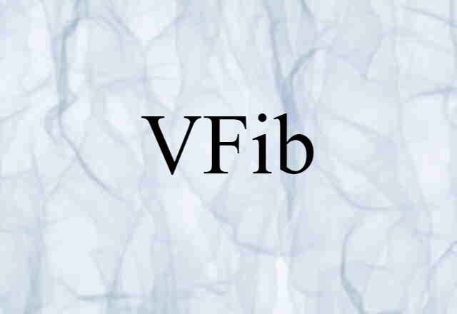 VFib (noun) Definition, Meaning & Examples