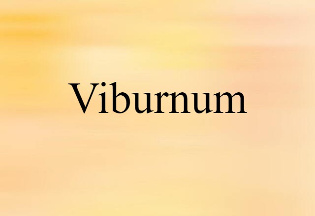 Viburnum (noun) Definition, Meaning & Examples