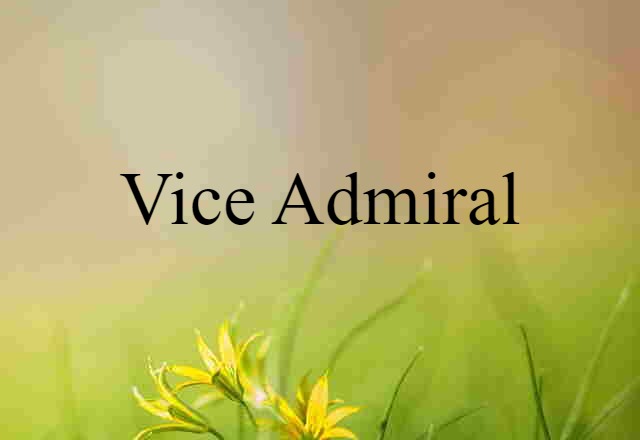 vice-admiral