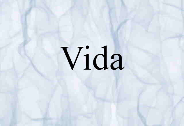 Vida (noun) Definition, Meaning & Examples