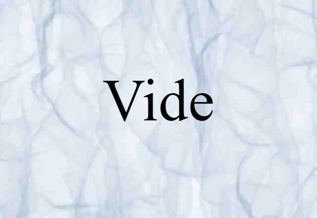 Vide (noun) Definition, Meaning & Examples