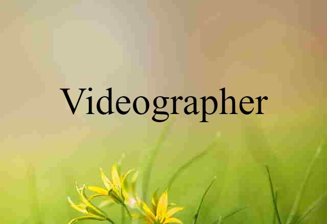 videographer