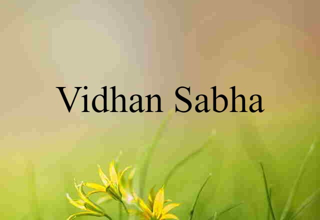 Vidhan Sabha (noun) Definition, Meaning & Examples