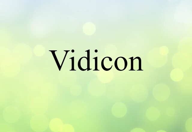 Vidicon (noun) Definition, Meaning & Examples