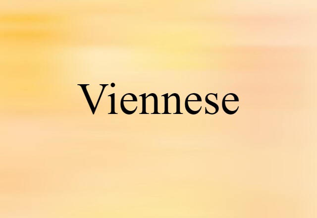 Viennese (noun) Definition, Meaning & Examples