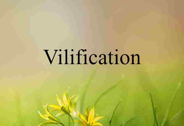 Vilification (noun) Definition, Meaning & Examples