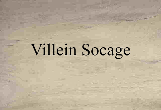 villein socage