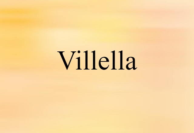 Villella (noun) Definition, Meaning & Examples