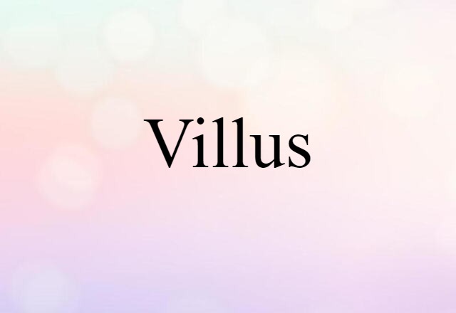 Villus (noun) Definition, Meaning & Examples