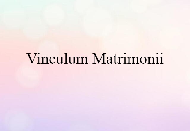 Vinculum Matrimonii (noun) Definition, Meaning & Examples