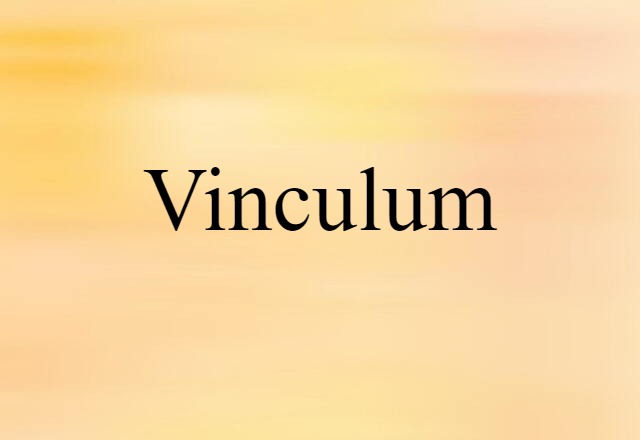 Vinculum (noun) Definition, Meaning & Examples