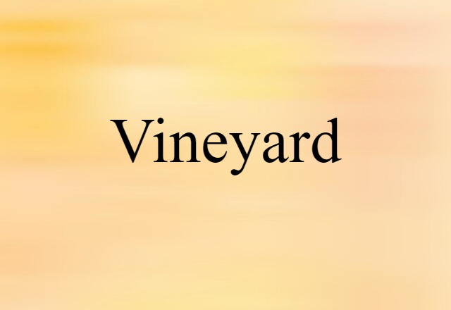 vineyard