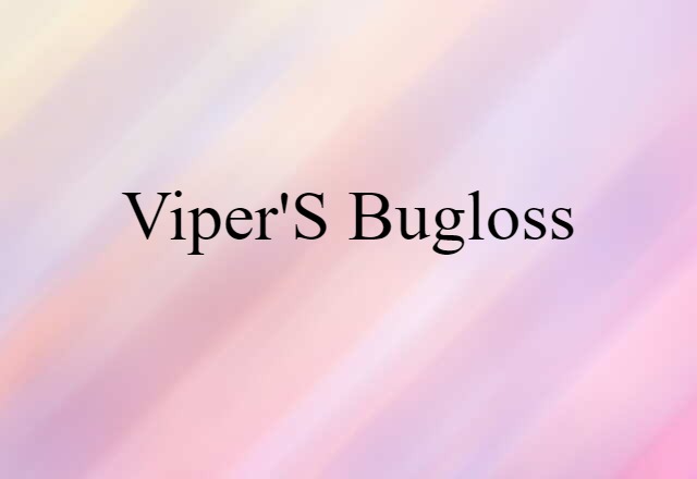 Viper's Bugloss (noun) Definition, Meaning & Examples