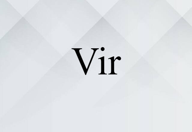 Vir (noun) Definition, Meaning & Examples