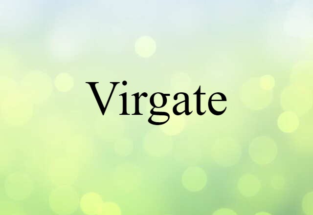 virgate