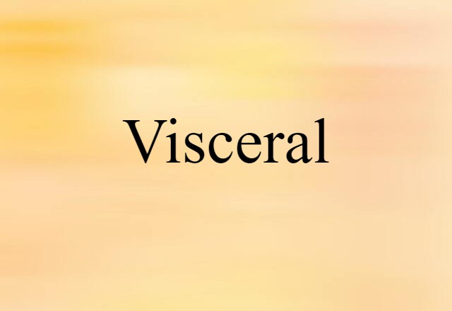 Visceral (noun) Definition, Meaning & Examples