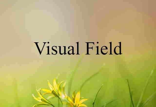 Visual Field (noun) Definition, Meaning & Examples