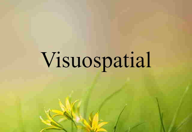 visuospatial