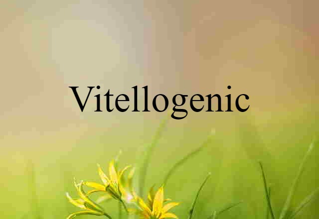 vitellogenic