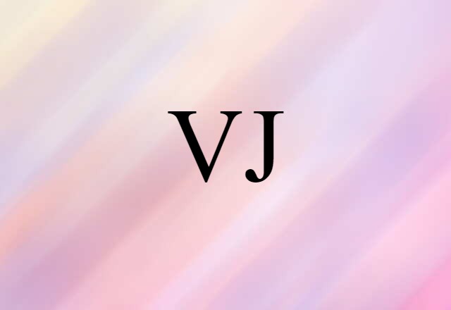 VJ (noun) Definition, Meaning & Examples