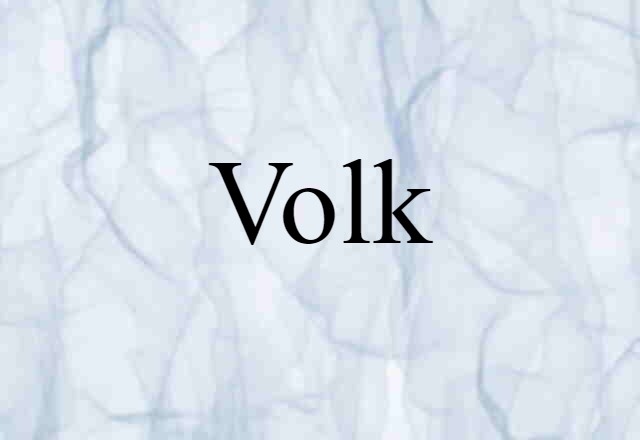 Volk (noun) Definition, Meaning & Examples