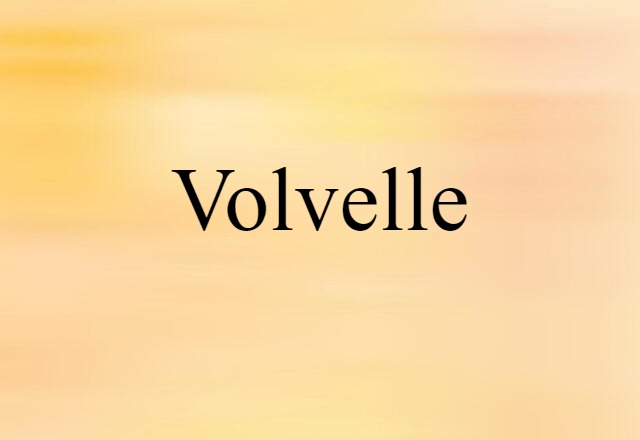 Volvelle (noun) Definition, Meaning & Examples