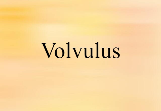 volvulus