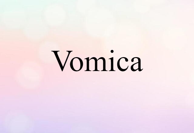 Vomica (noun) Definition, Meaning & Examples