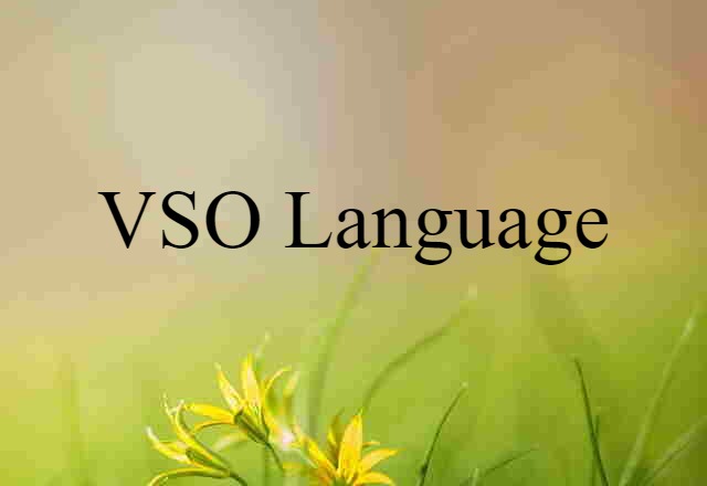 VSO language