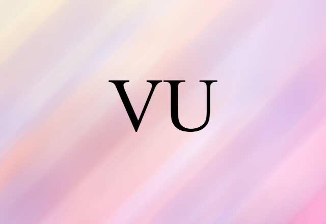 VU (noun) Definition, Meaning & Examples