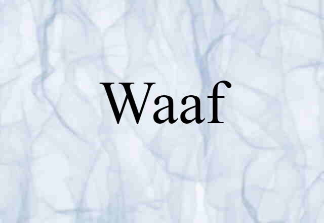 Waaf