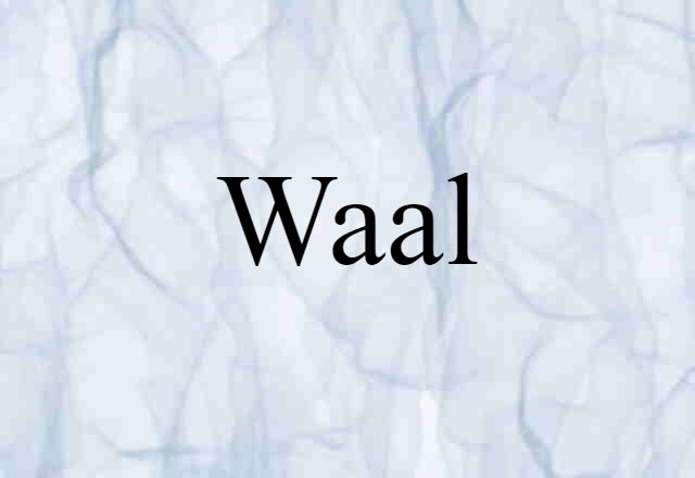 Waal (noun) Definition, Meaning & Examples