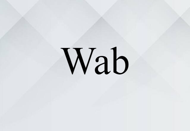 Wab (noun) Definition, Meaning & Examples