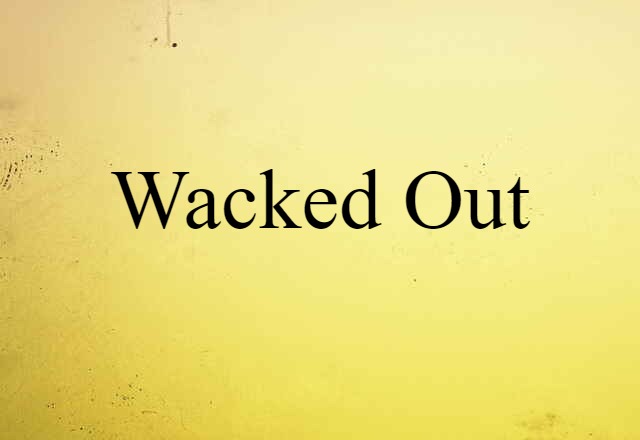 Wacked-out (noun) Definition, Meaning & Examples