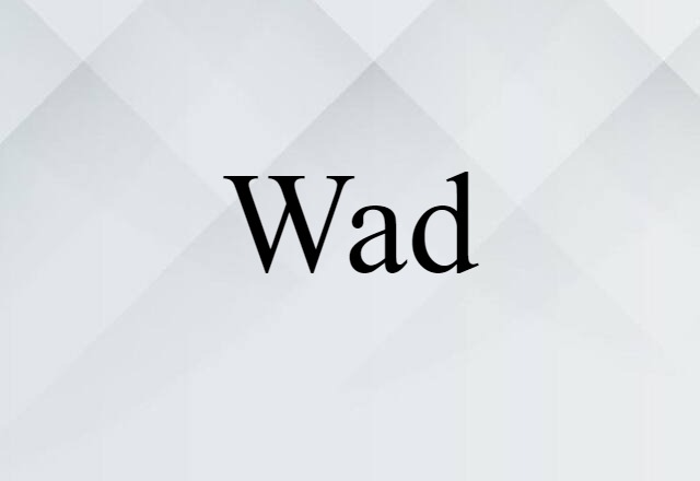 Wad (noun) Definition, Meaning & Examples