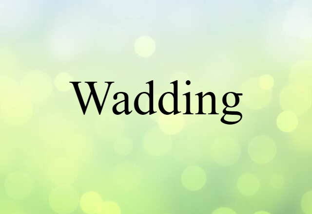 Wadding (noun) Definition, Meaning & Examples