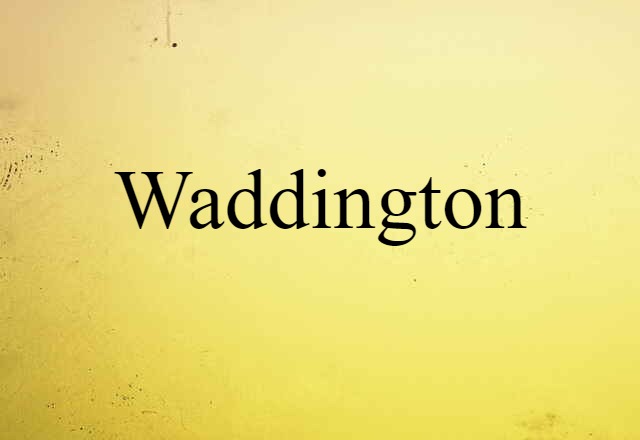 Waddington (noun) Definition, Meaning & Examples