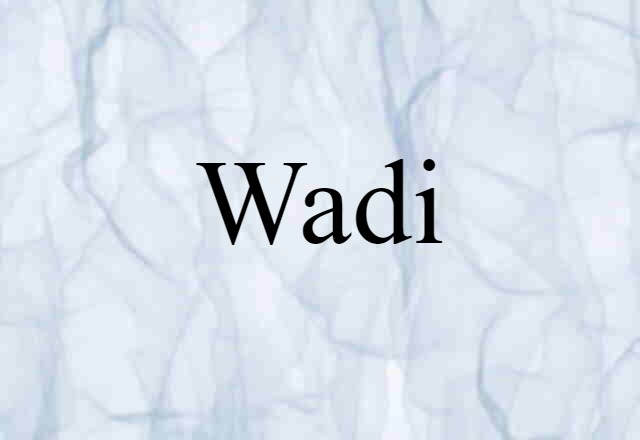 Wadi (noun) Definition, Meaning & Examples