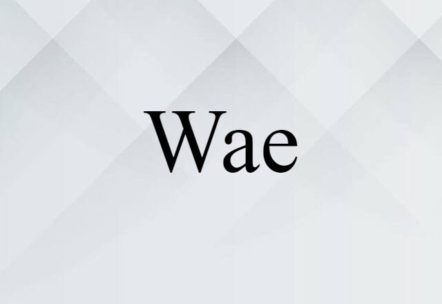 Wae (noun) Definition, Meaning & Examples