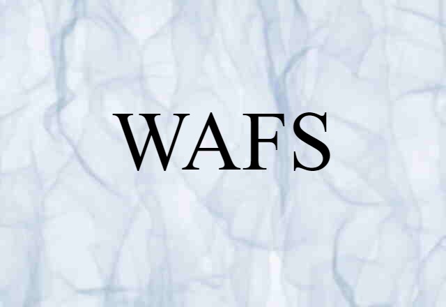 WAFS (noun) Definition, Meaning & Examples