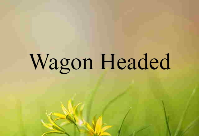 wagon-headed