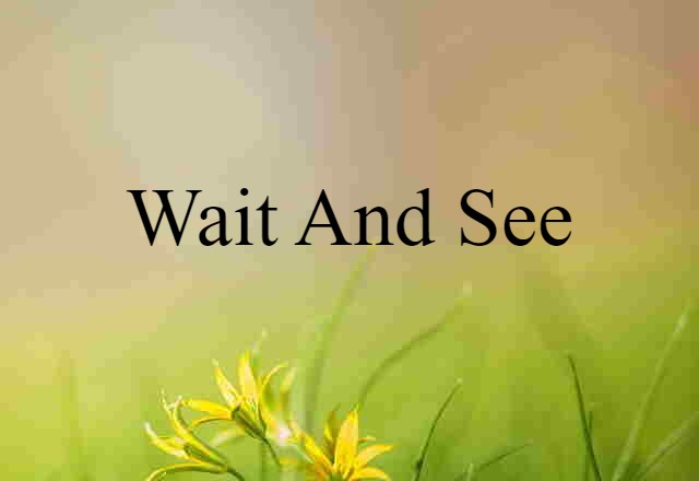 Wait And See (noun) Definition, Meaning & Examples