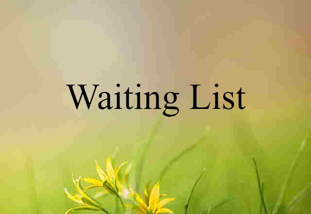 Waiting List (noun) Definition, Meaning & Examples