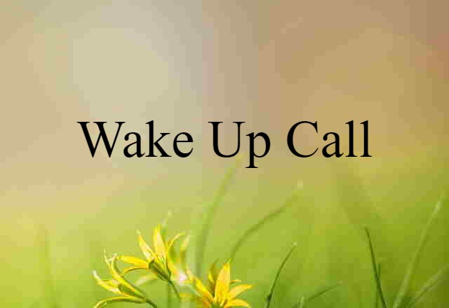 wake-up call