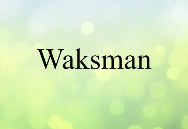 Waksman (noun) Definition, Meaning & Examples