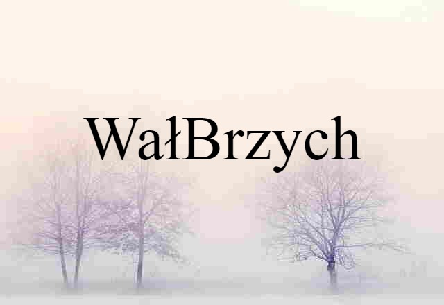 Wałbrzych (noun) Definition, Meaning & Examples