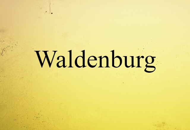 Waldenburg (noun) Definition, Meaning & Examples