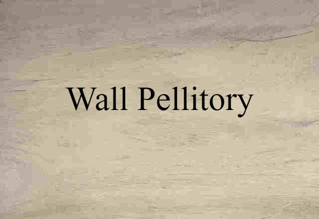 Wall Pellitory (noun) Definition, Meaning & Examples