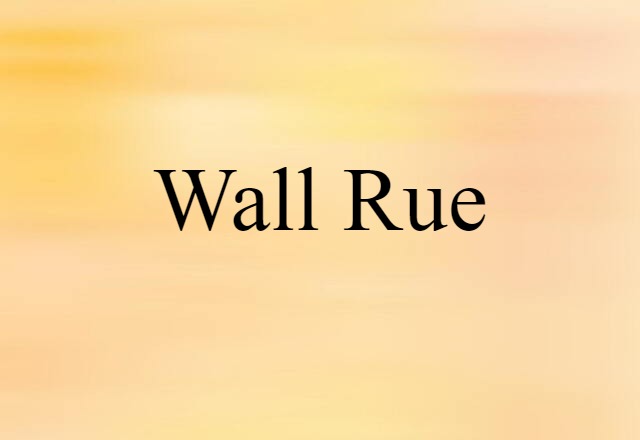 wall rue